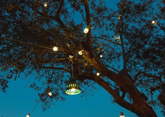 Eden * Σορέντο