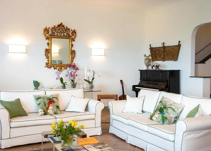 Eden فيلة سورينتو